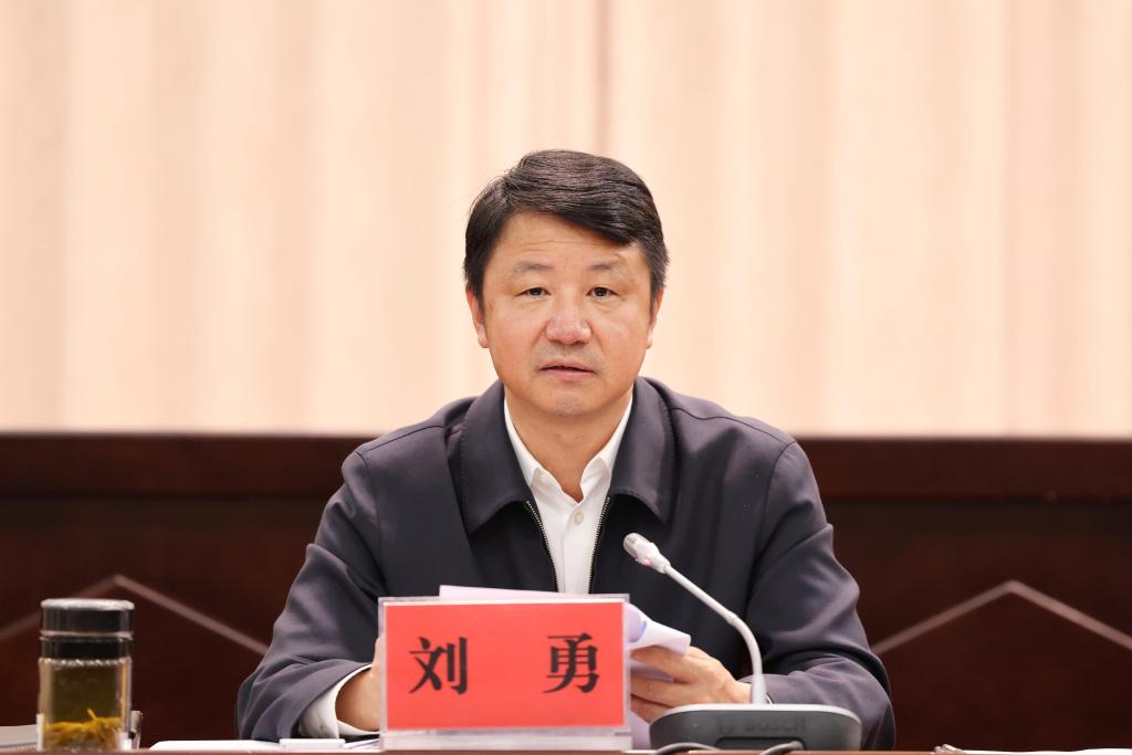 刘勇扎实做好改革发展稳定各项工作以实际行动和优异成绩迎接党的二十
